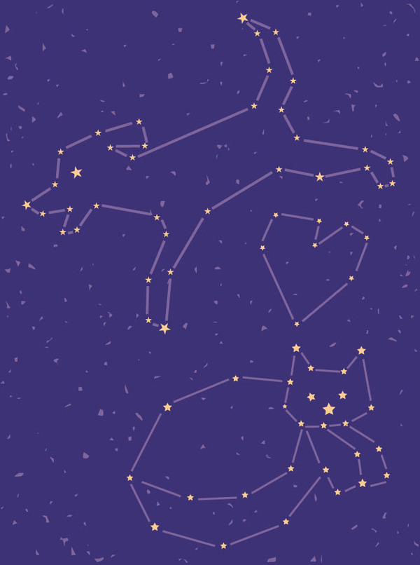 pet sym-constellations