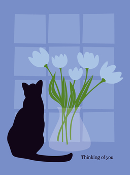 pet sym-cat in the window