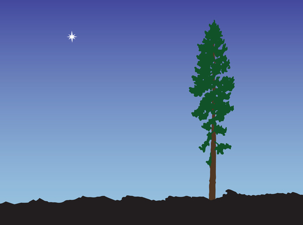 sympa-sequoia