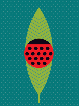 luck-lady bug on a leaf