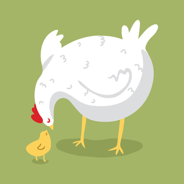 baby-chicken mama