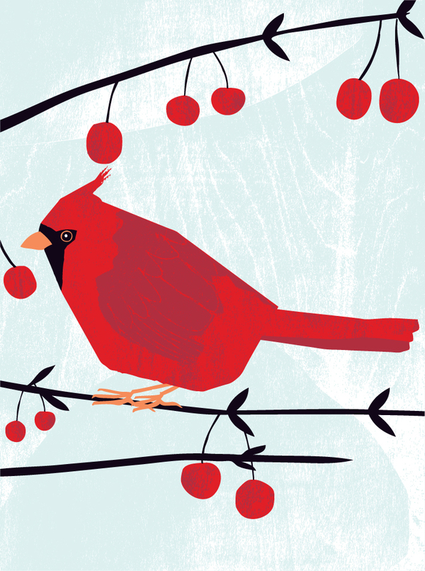 xmas-cardinal with crabapples