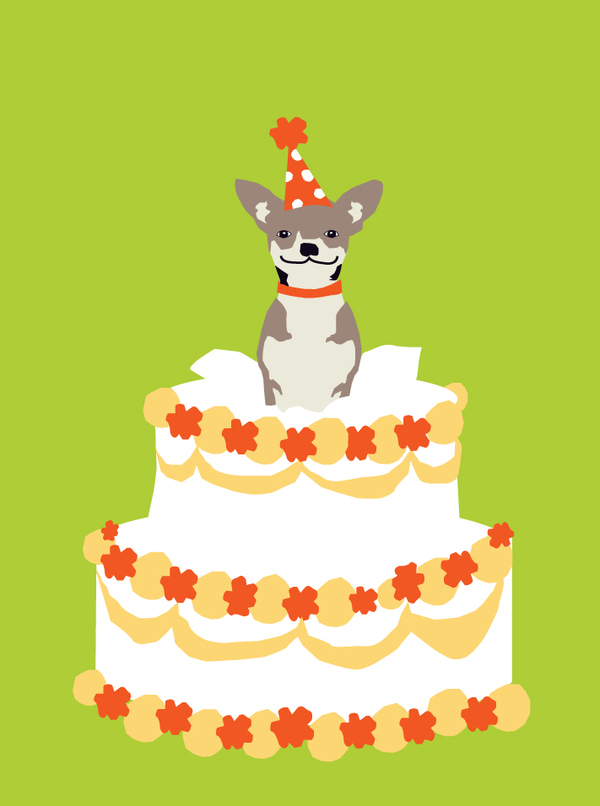 bday-best bday chihuahua ever!