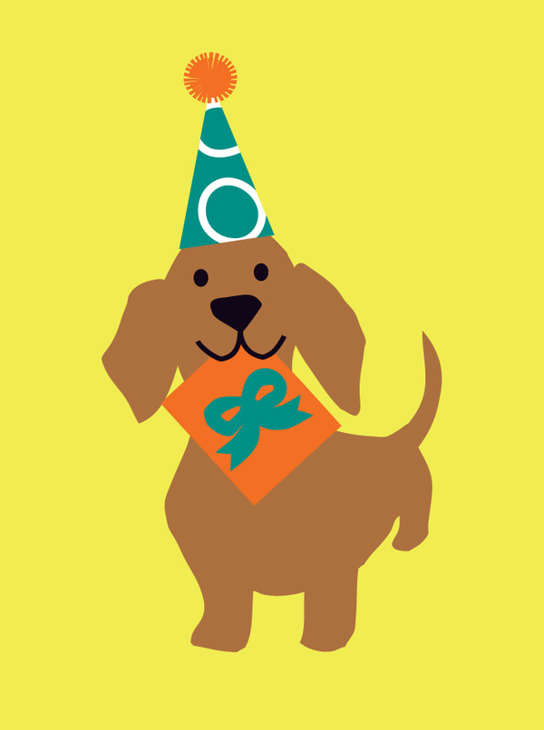 bday-gift giving dachshund