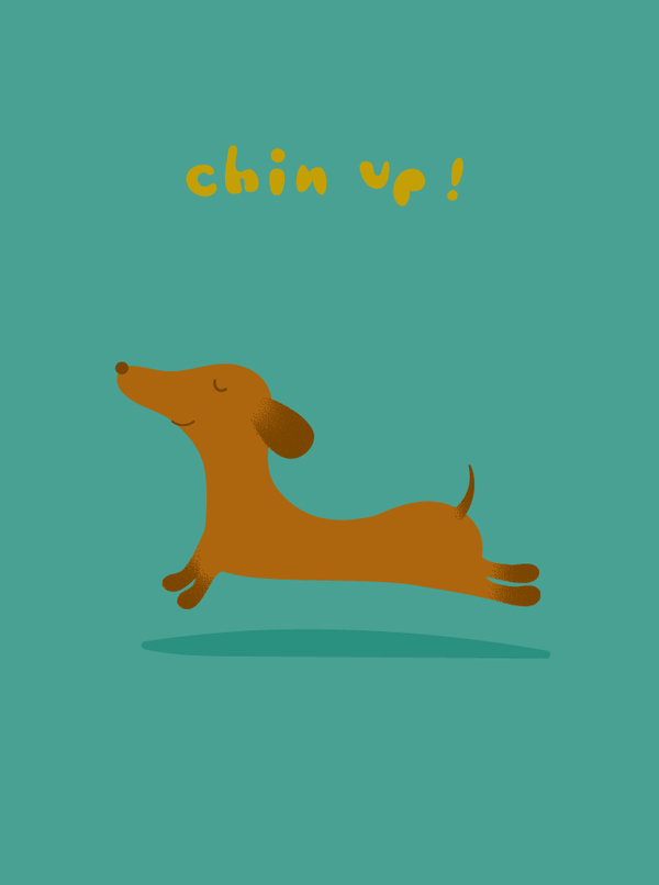 encour-chin up dachshund