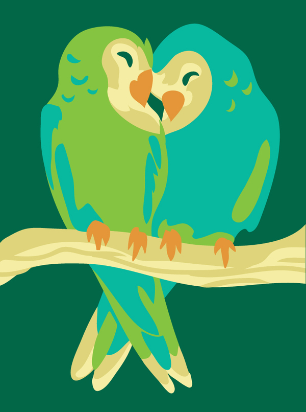 anniv-parakeet couple