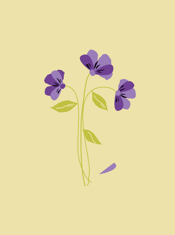 sympa-violets