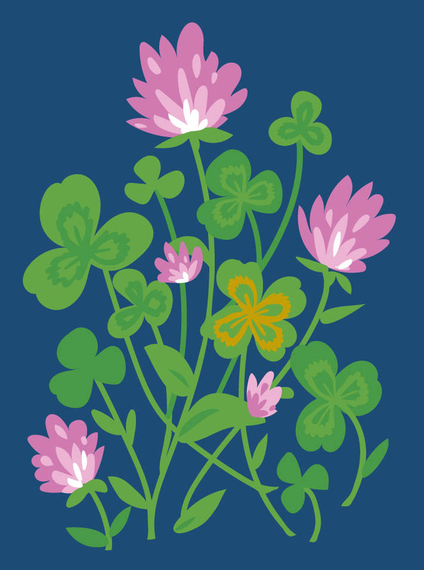 luck-clover