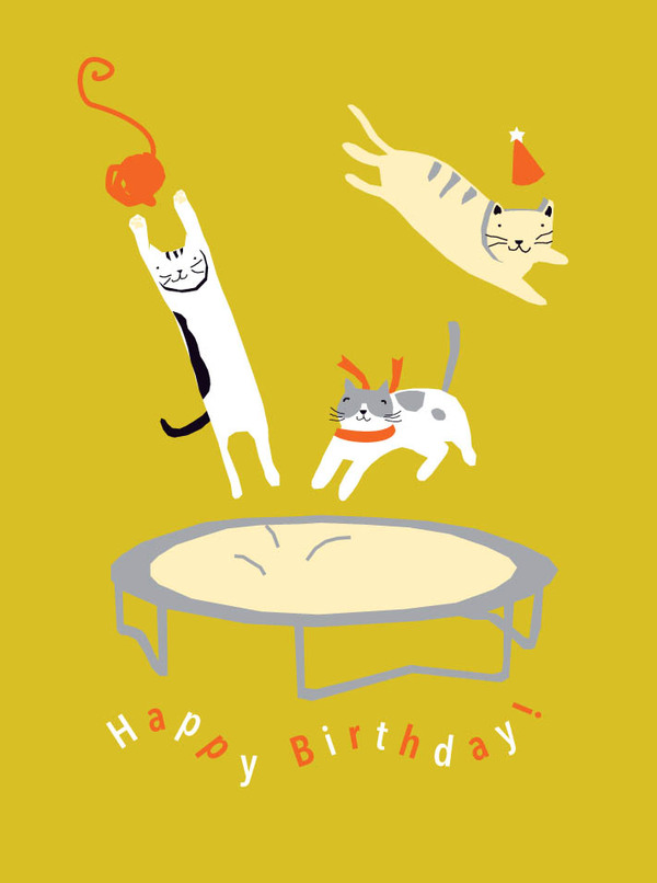bday-cat trampoline party on ochre