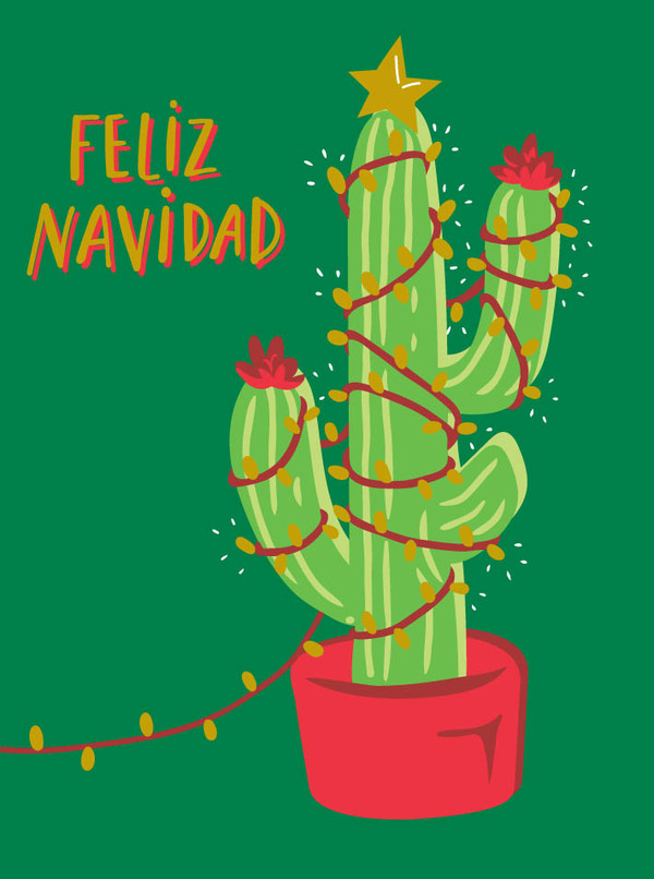 xmas-christmas cactus