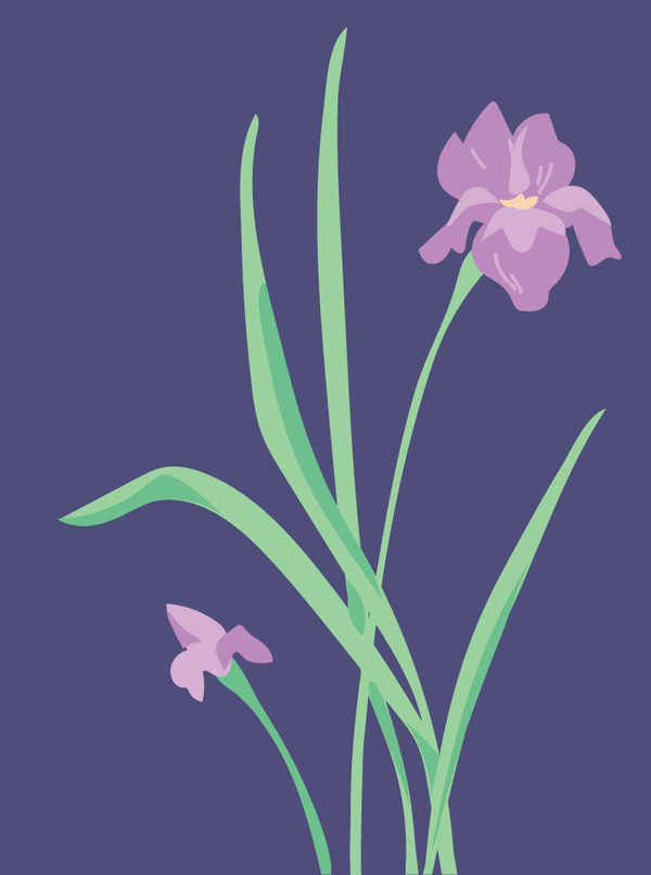 sympa-iris