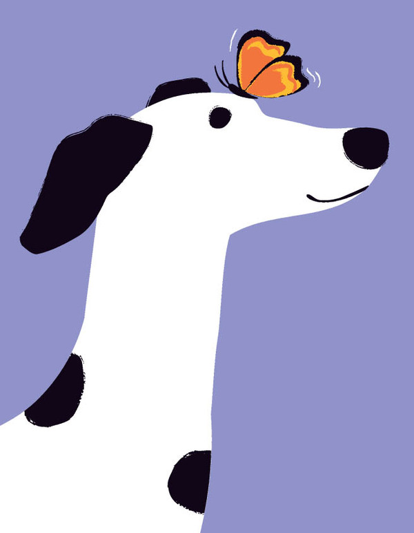 think-butterfly dog