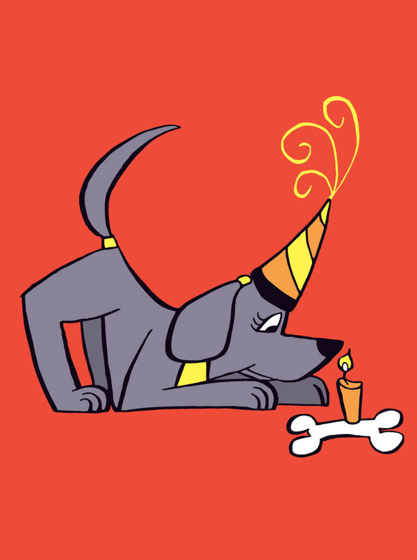 bday-party dog with bone cake