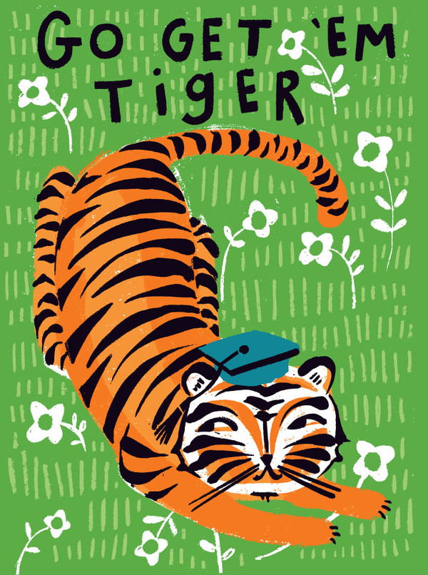 grad-tiger